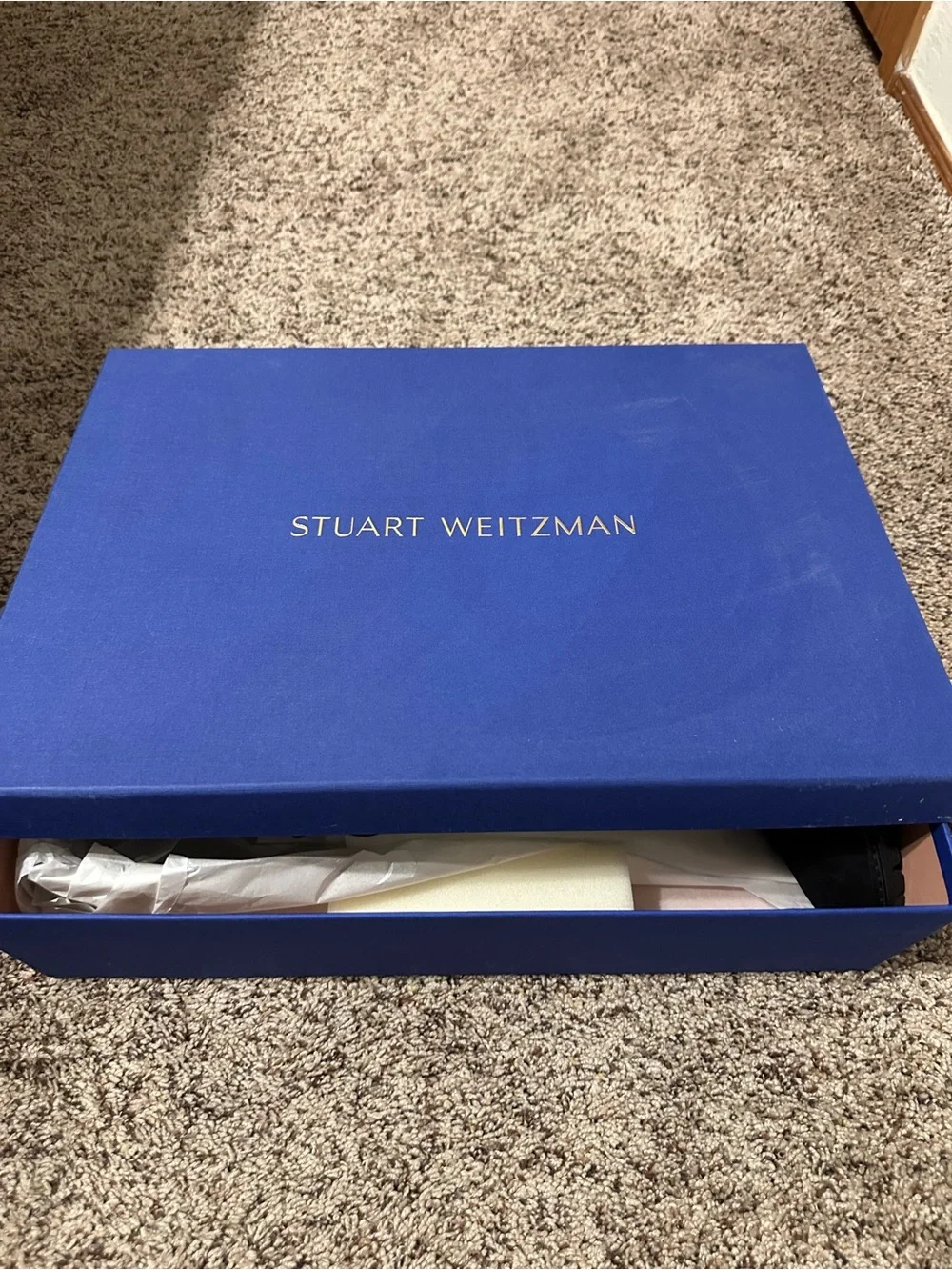 Stuart Weitzman elegant over